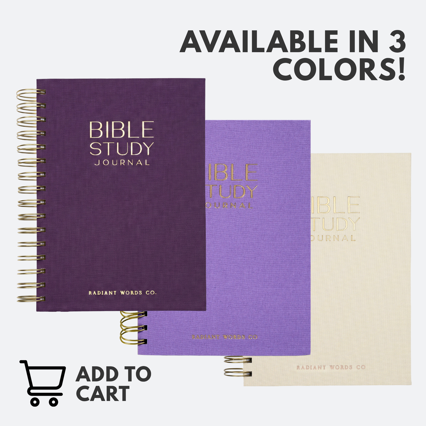 Bible Study Journal (Spring Purple)