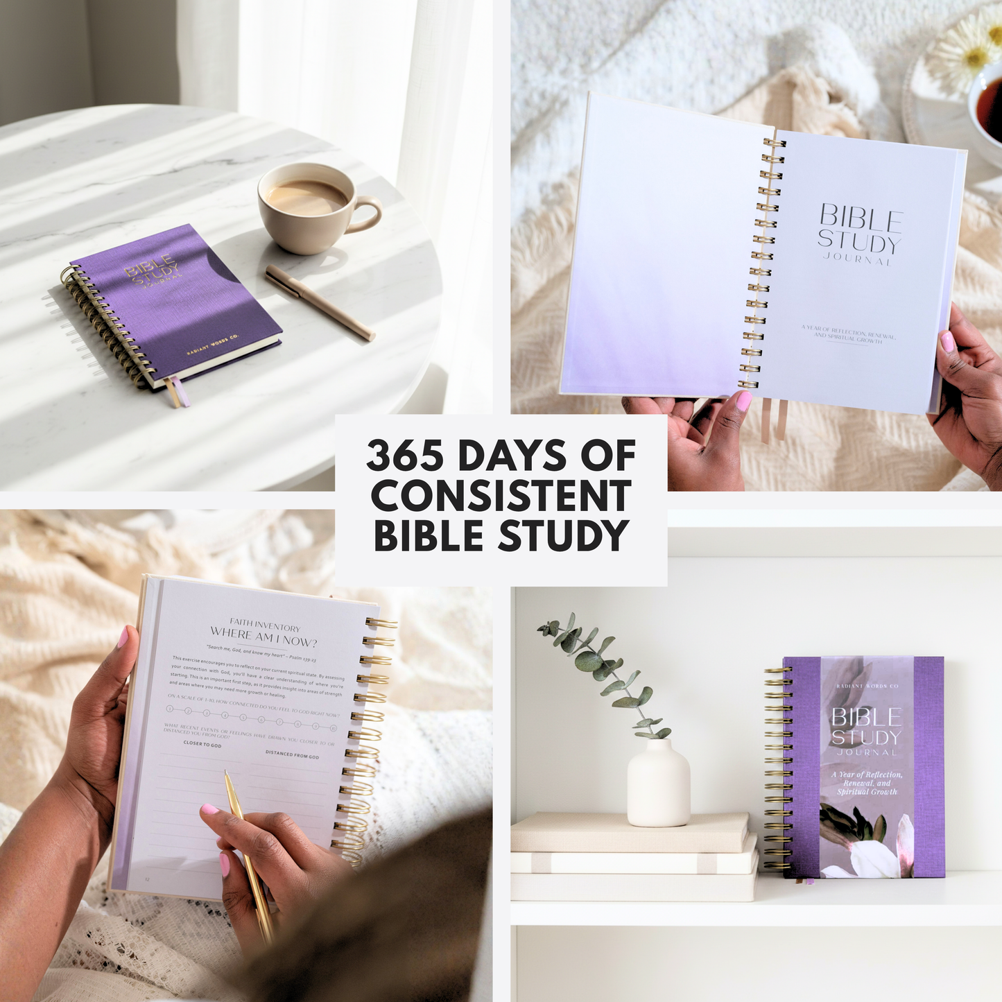 Collage of a Bible study book with a cup of coffee and a plant, promoting '365 Days of Consistent Bible Study'.