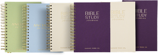 Bible study books