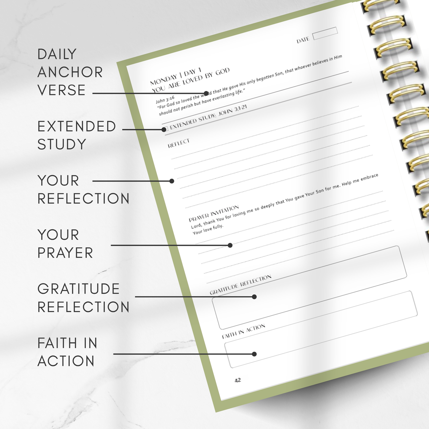 Open planner with sections labeled for daily anchor verse, extended study, reflection, prayer, gratitude reflection, and faith in action.