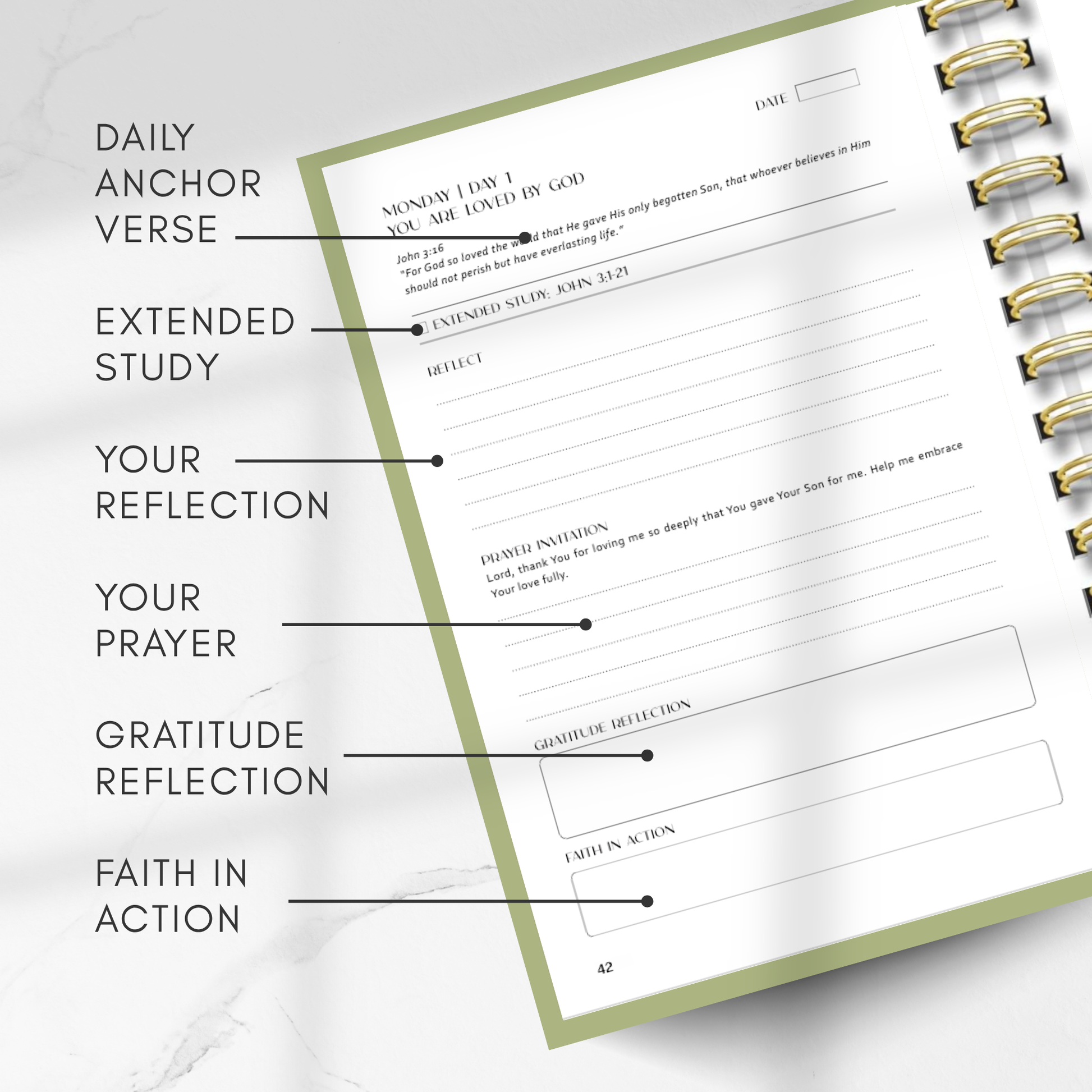 Open planner with sections labeled for daily anchor verse, extended study, reflection, prayer, gratitude reflection, and faith in action.