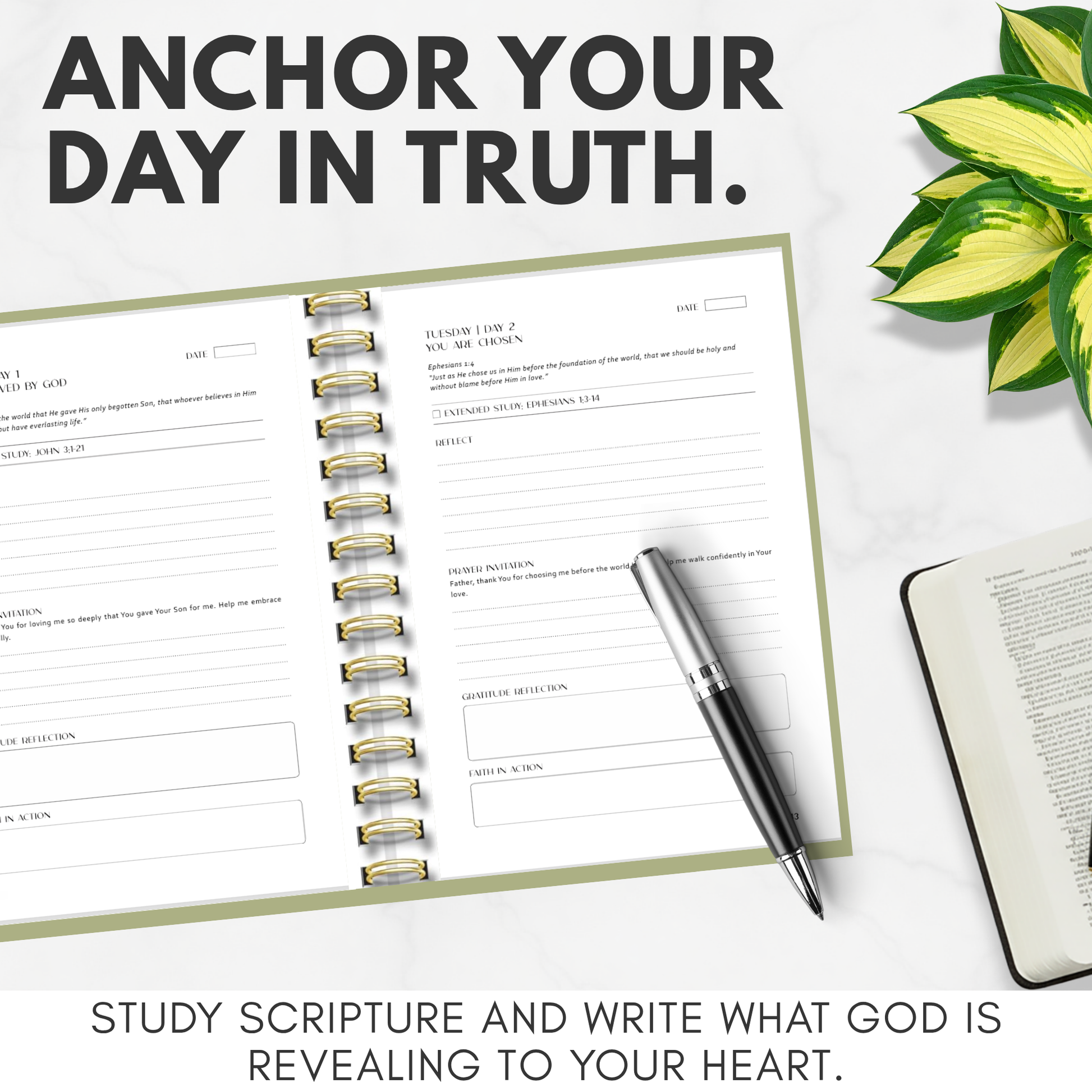 Notebook with pen and plant on a white surface, with text 'Anchor Your Day in Truth' and 'Study Scripture and Write What God is Revealing to Your Heart'.