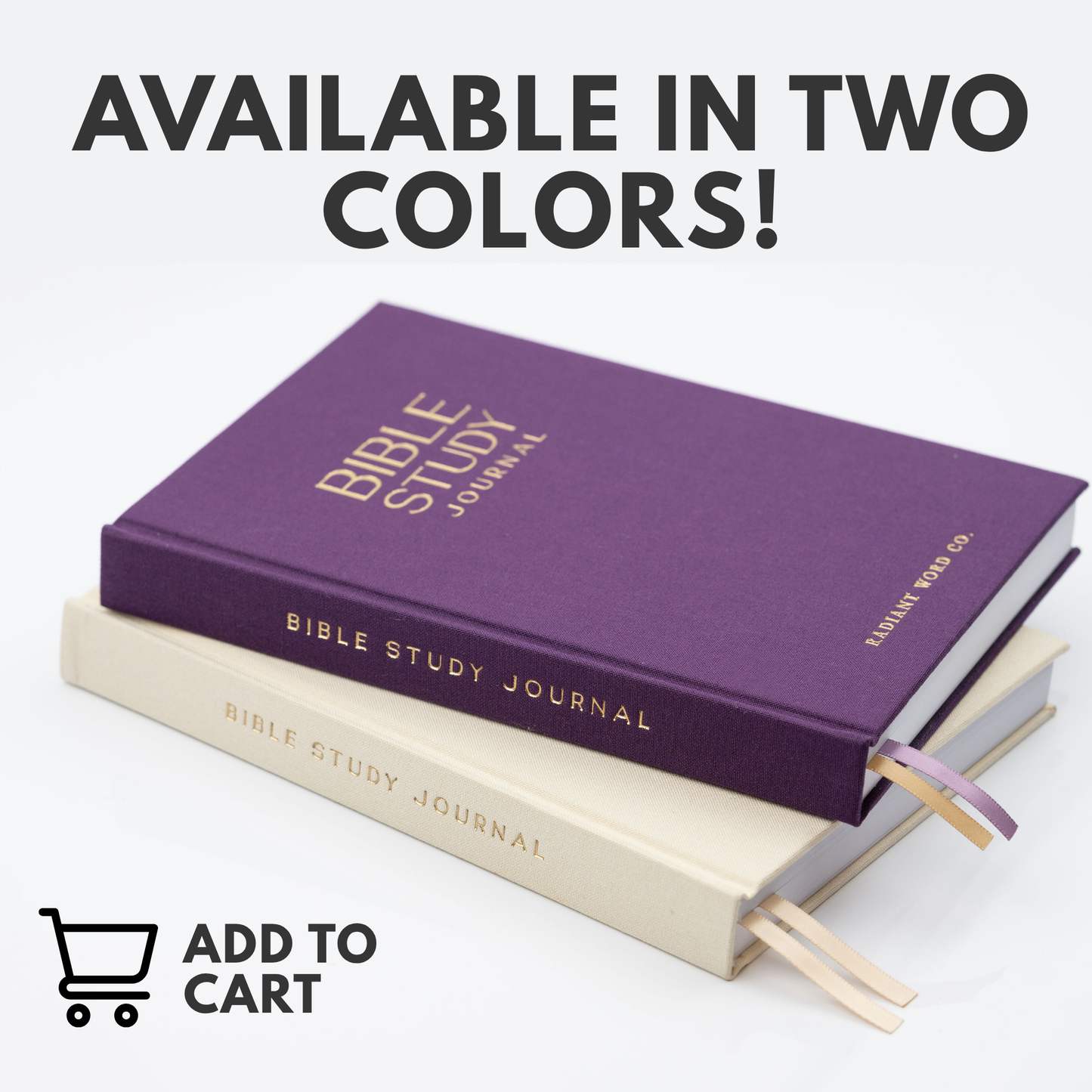 Bible Study Journal  (Purple)
