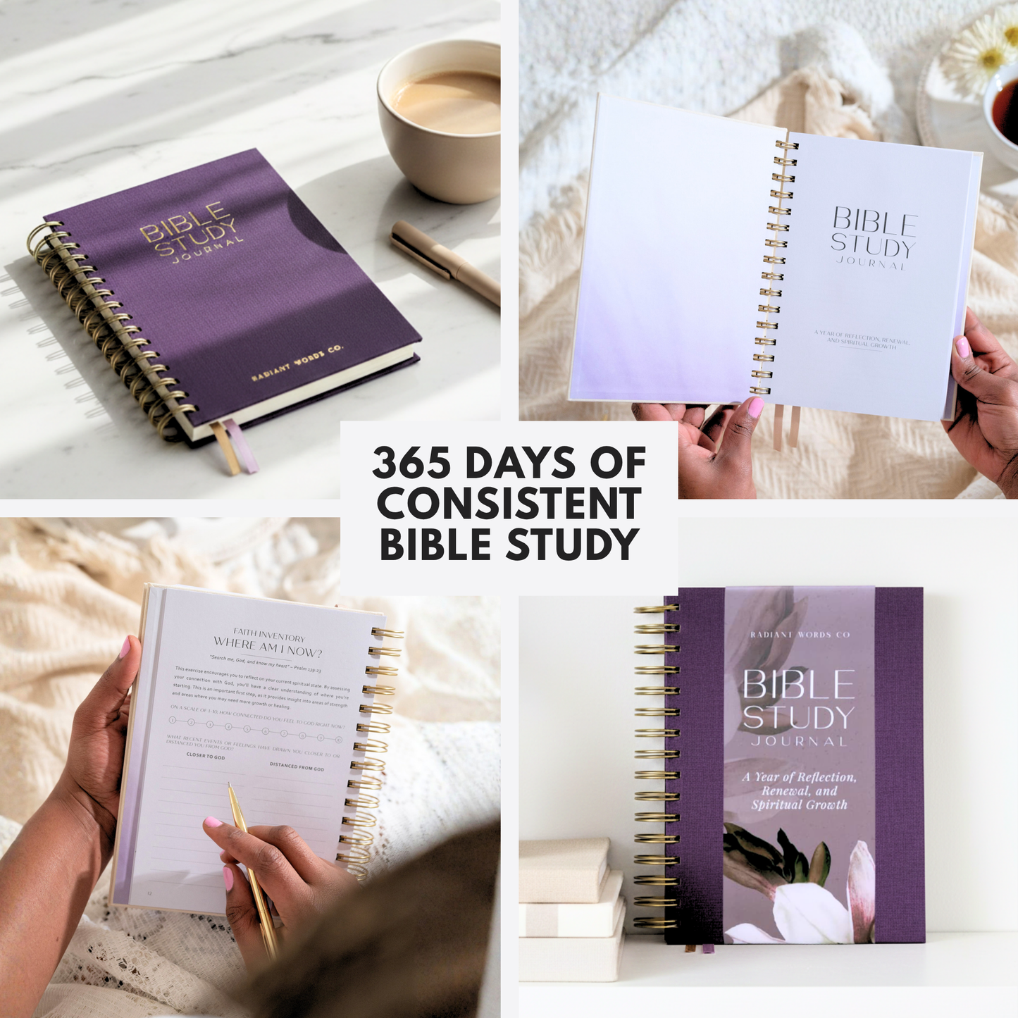 Bible Study Journal  (Spring Purple)