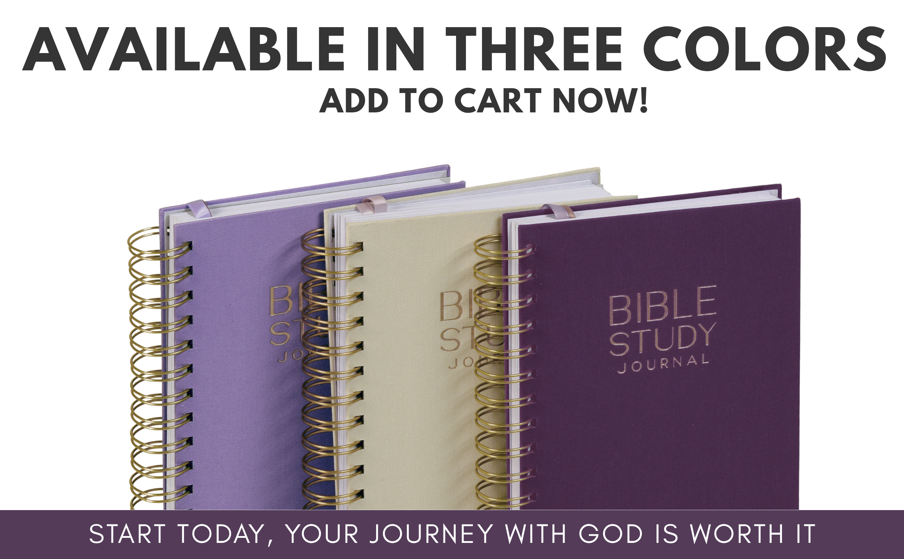 Bible Study Journal  (Spring Purple)